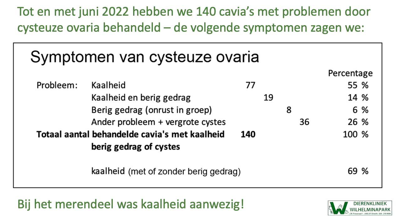 Bij cysteuze ovaria komen vaak kale rug en flanken voor, maar ook berigheid of geen klachten buiten niet eten.